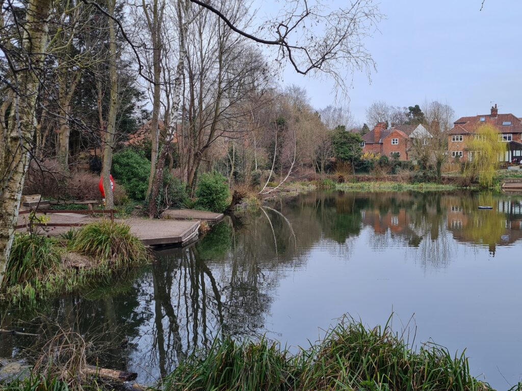 Photo of the Railway Pond, York. Trees to the right and pond with houses behind.