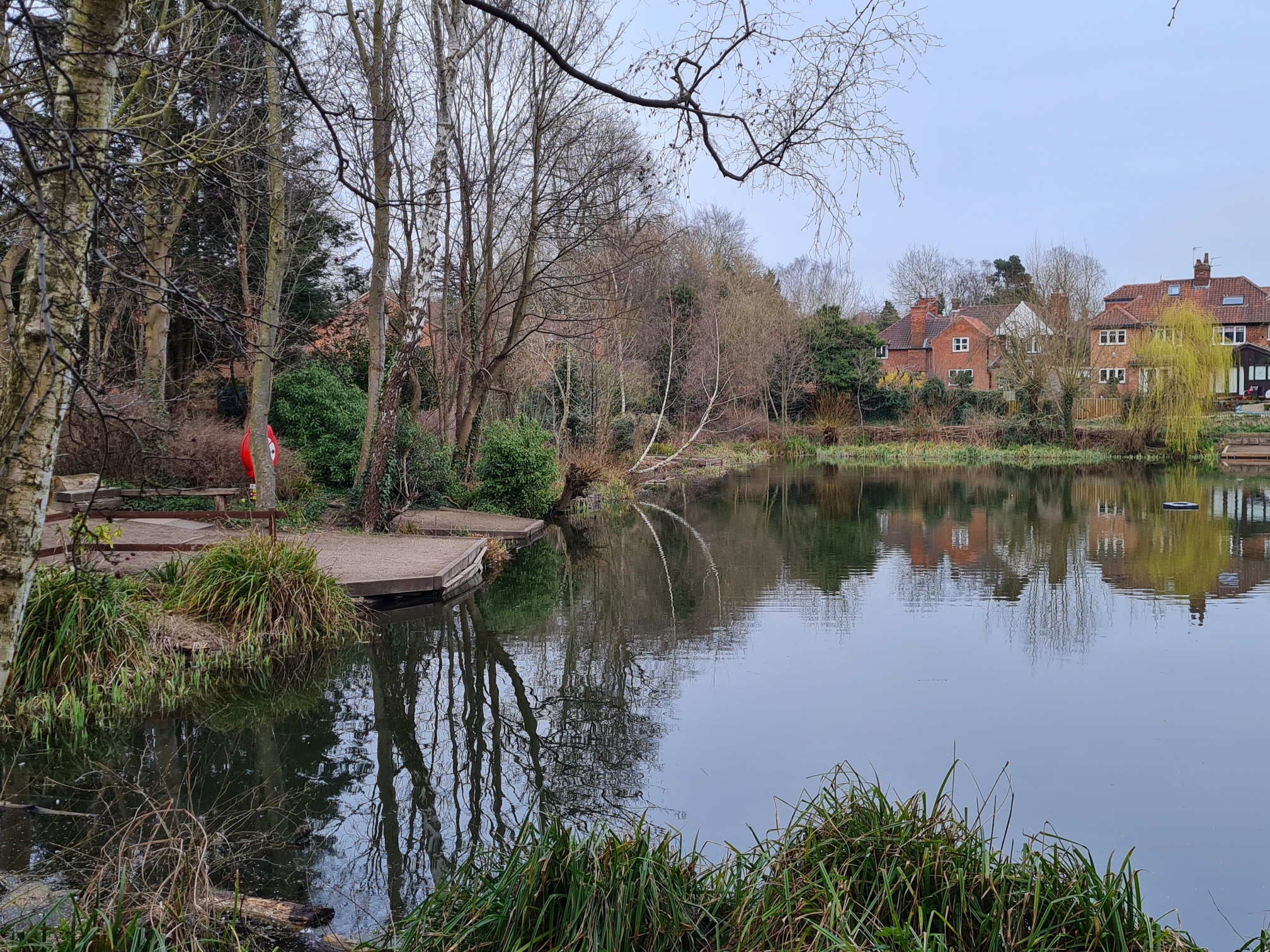 Photo of the Railway Pond, York. Trees to the right and pond with houses behind.