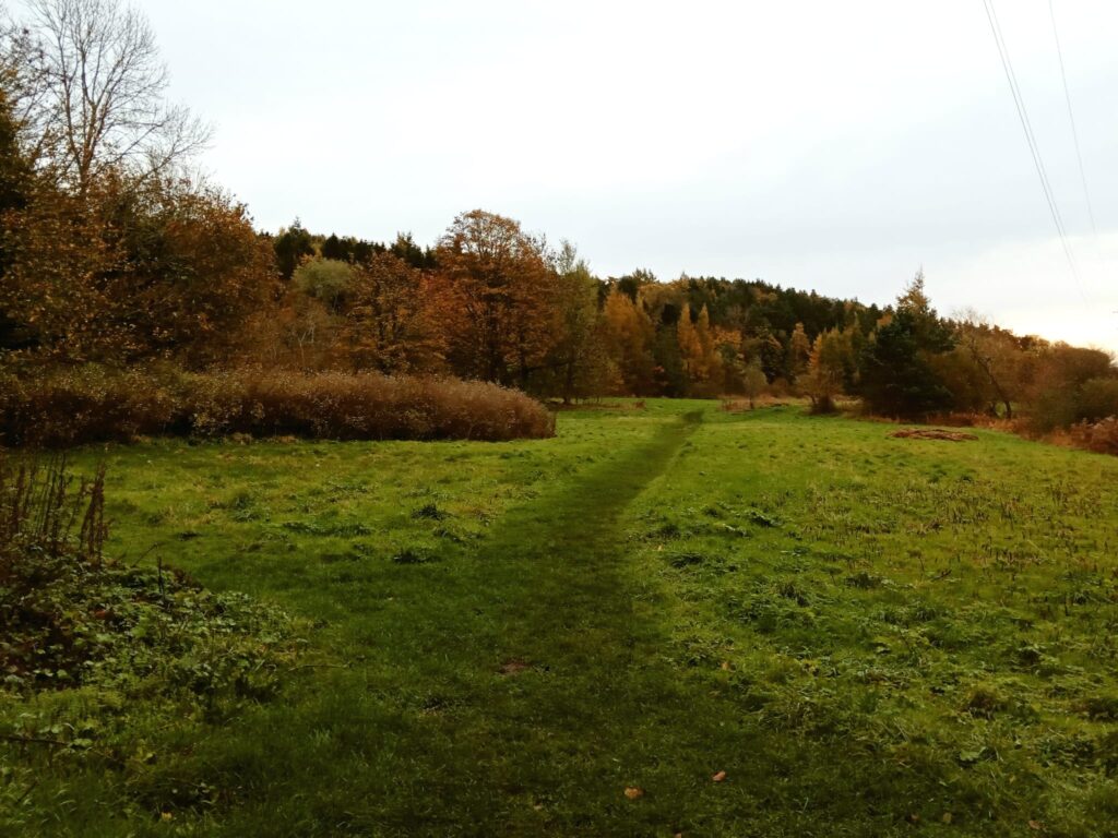 Meadow with a path through the centre and hills beyond