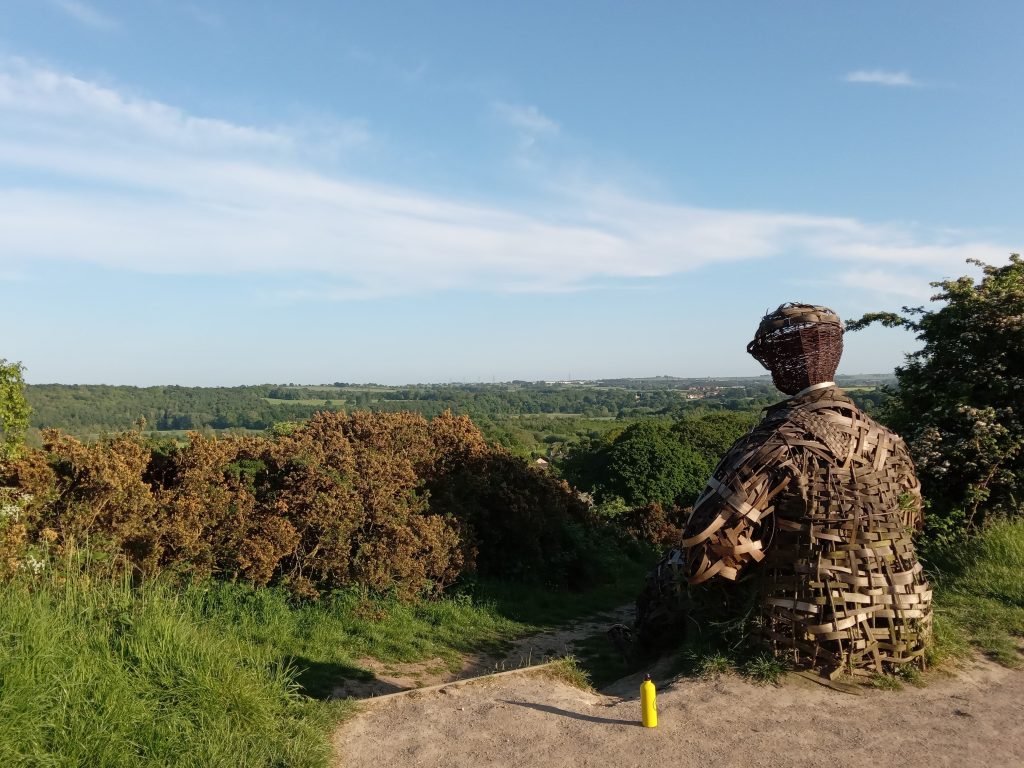 Willow sculpture of a man looking out over woodland